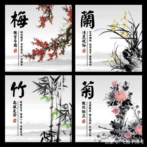 花中四君子的象徵意義|四君子(梅、蘭、竹、菊的別稱):釋義,發展歷程,寓意由。